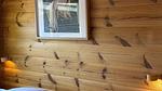 image/jpeg - Ferienhaus für 6 Personen (63 m²) in Tisvilde - Top-Hundeurlaub