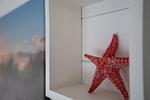 Dekoratives Detail - "Beachhouse"  mit eingezäuntem Grundstück (44) und Klimaanlage - Top-Hundeurlaub