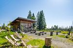Nachbarschaft - Ferienhaus Bergquartier St. Andreasberg im Harz - Top-Hundeurlaub