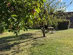 Garten - Wohnung Nordlicht OG - Top-Hundeurlaub
