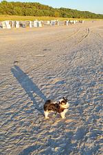 Hotel & Restaurant Nordkap - Top-Hundeurlaub