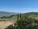 Bellavista - Top-Hundeurlaub
