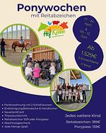 Ponywoche auf dem Hof Köhne - Ponywoche - Top-Hundeurlaub
