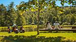 AreaSummer5KM - Ferienhaus für 7 Personen in Belfeld - Top-Hundeurlaub