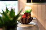 Dekoratives Detail - Ferienhaus 164 - Top-Hundeurlaub