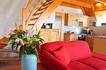 Ferienhaus Felber - Top-Hundeurlaub