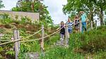 AreaSummer1KM - Ferienhaus für 7 Personen in Belfeld - Top-Hundeurlaub