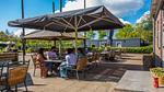 AreaSummer5KM - Ferienhaus für 5 Personen (35 m²) in Velsen-Zuid - Top-Hundeurlaub