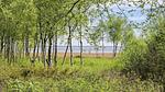 WaterView - Ferienhaus für 7 Personen (106 m²) in Hadsund - Top-Hundeurlaub