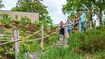 AreaSummer1KM - Tiny-Unterkunft für 5 Personen (28 m²) in Belfeld - Top-Hundeurlaub