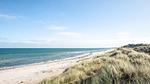 Untagged - Ferienhaus für 5 Personen (50 m²) in Læsø - Top-Hundeurlaub