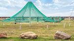 Untagged - Ferienhaus für 5 Personen (50 m²) in Læsø - Top-Hundeurlaub