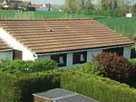 Ferienhaus mit Charme im wunderschönen De Haan - Top-Hundeurlaub