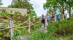 AreaSummer5KM - Ferienhaus für 7 Personen in Belfeld - Top-Hundeurlaub