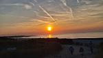Chalet Strand Oase mit Zaun & Sichtschutz J281 - Top-Hundeurlaub