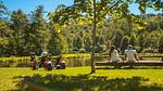 AreaSummer5KM - Ferienhaus für 5 Personen in Belfeld - Top-Hundeurlaub