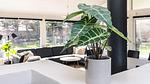 Indoor - Ferienhaus für 15 Personen (150 m²) in Hjørring - Top-Hundeurlaub