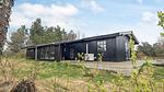 Outdoor - Ferienhaus für 7 Personen (59 m²) in Hadsund - Top-Hundeurlaub