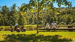 AreaSummer1KM - Ferienhaus für 3 Personen (18 m²) in Belfeld - Top-Hundeurlaub