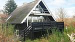 Outdoor - Ferienhaus für 5 Personen (69 m²) in Roslev - Top-Hundeurlaub