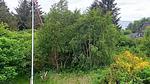 Outdoor - Ferienhaus für 5 Personen (69 m²) in Roslev - Top-Hundeurlaub