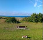 Landschaft - Küstennähe Ahoi - Top-Hundeurlaub