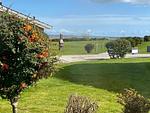 Meerblick - Ferienhaus Meertied - Top-Hundeurlaub