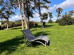 Landschaft - Ferienhaus Meertied - Top-Hundeurlaub