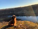 Ferienwohnung Maifeld ☆☆☆☆ - Top-Hundeurlaub