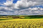 Ferienwohnung Maifeld ☆☆☆☆ - Top-Hundeurlaub