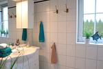 Villa am Meer - Seeadler - Top-Hundeurlaub