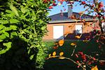 Ferienhaus Nordseebrise - Top-Hundeurlaub