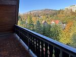 WW2_HARTSWÄRTS_Balkon - HARZWÄRTS - Top-Hundeurlaub