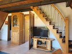 TV / Multimedia - Ferienhaus BIENE - Top-Hundeurlaub
