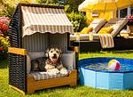Wellness & Natur Ferienhaus Bergheide, Oase - Top-Hundeurlaub