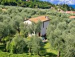 Casa Laura – Freistehendes Ferienhaus inmitten eines 2.500 m² großen Olivenhains in Malcesine am Gardasee - Top-Hundeurlaub