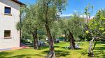 Casa Laura – Freistehendes Ferienhaus inmitten eines 2.500 m² großen Olivenhains in Malcesine am Gardasee - Top-Hundeurlaub