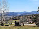Ferienhaus Walter - Urlaub im Bayerischen Wald im Waldferiendorf Regen - Top-Hundeurlaub