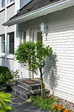 Eingang zur Wohnung - Haus Weststrand W1 - Top-Hundeurlaub