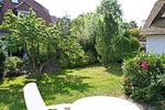 Blick von der Terrasse in den Garten - Darßer Wald - Top-Hundeurlaub