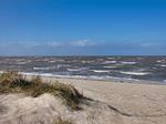 Strand - Meerblick (50.4.N) - Top-Hundeurlaub