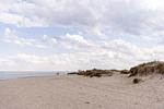 Strand - Meerblick (50.4.N) - Top-Hundeurlaub
