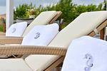 Garten - Vaschvitz - Villa Seepferdchen - Top-Hundeurlaub