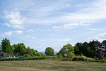 Meerblick - App.561 - Strandlage - Top-Hundeurlaub