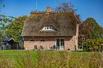 Hauptansicht - fewo1846 - Haus Muschelsucher - Top-Hundeurlaub