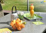 Garten - Ferienwohnung Undine - Top-Hundeurlaub