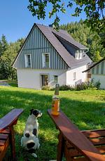 Ferienhaus Froschkönig – unaufgeregtes Wohlfühlhaus mit eingezäuntem Garten und Wanderwegen direkt ab der Haustür - Top-Hundeurlaub