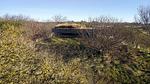 Untagged - Ferienhaus für 11 Personen (100 m²) in Skjern - Top-Hundeurlaub