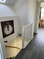Urlaub mit Hund in unserem Ferienhaus Sunhouse Makkum Beach - Top-Hundeurlaub