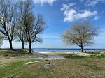 Urlaub mit Hund in unserem Ferienhaus Sunhouse Makkum Beach - Top-Hundeurlaub